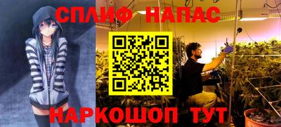 крисы Изобильный