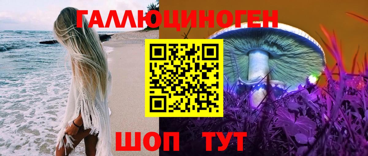 Ковров  Псилоцибиновые грибы мицелий  Вход с VPN 