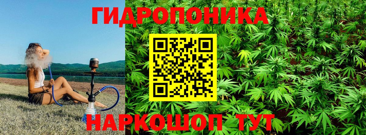 МАРИХУАНА семена Ковров